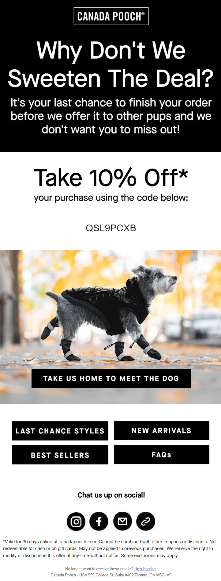 Pet Email Design